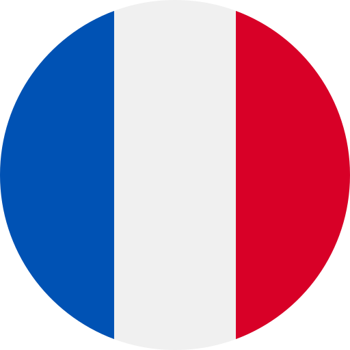 Current language flag